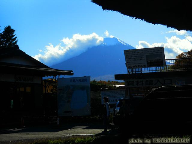 SDC11272.jpg